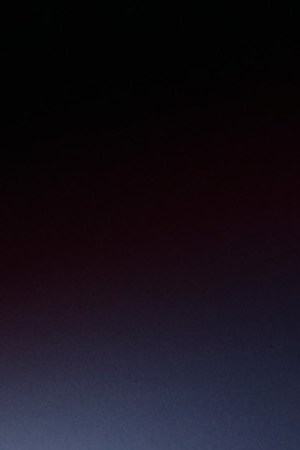 Gael García Bernal walks the red carpet ahead of the "Wasp Network" screening during the 76th Venice Film Festival. Photo by Vittorio Zunino Celotto/Getty Images