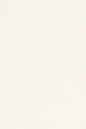 Mj Rodriguez attends the 2019 Glamour Women Of The Year Summit at Alice Tully Hall on November 10, 2019 in New York City. Photo by Astrid Stawiarz/Getty Images for Glamour