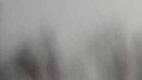 Immigration activists participate in a rally in front of the White House February 12, 2019 in Washington, DC. Photo by Alex Wong/Getty Images