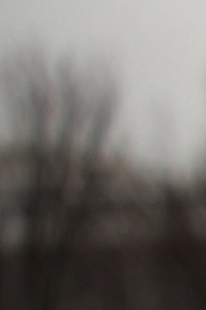 Immigration activists participate in a rally in front of the White House February 12, 2019 in Washington, DC. Photo by Alex Wong/Getty Images