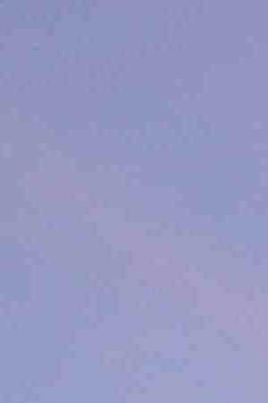 U.S. President Donald Trump and first lady Melania Trump hand out candy to trick-or-treaters during a Halloween at the White House event at the South Portico of the White House October 28, 2019 in Washington, DC. Photo by Alex Wong/Getty Images