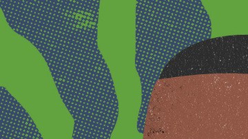 Art by Stephany Torres for Remezcla