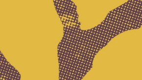 Photos courtesy of Los Cabos International Film Festival. Art by Stephany Torres for Remezcla