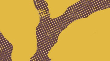 Photos courtesy of Los Cabos International Film Festival. Art by Stephany Torres for Remezcla