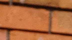 Photo by Mateo Rueda for Remezcla