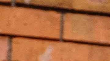 Photo by Mateo Rueda for Remezcla