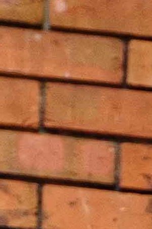 Photo by Mateo Rueda for Remezcla