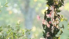 'Revenge' (2011-2015) still courtesy of ABC