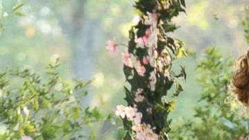 'Revenge' (2011-2015) still courtesy of ABC