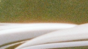 Photo by Caitlyn Krone