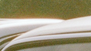 Photo by Caitlyn Krone