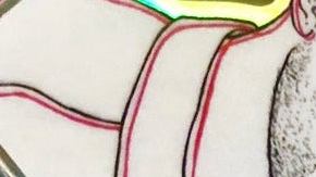 Courtesy of Leonardo Antonio Gaona