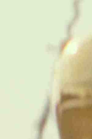 Anthony Daniels is C-3PO, John Boyega is Finn and Oscar Isaac is Poe Dameron in 'Star Wars: The Rise of Skywalker.' Photo courtesy LucasFilm.