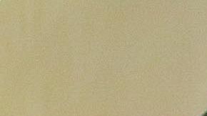 Photo by Itzel Alejandra Martinez. Courtesy of NYU's Latinx Project