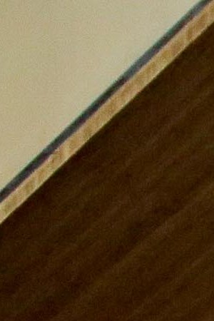 Photo by Itzel Alejandra Martinez. Courtesy of NYU's Latinx Project