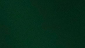 Brazilian President Jair Bolsonaro calls Swedish climate change activist Greta Thunberg a brat. Photo by Ricardo Moraes-Pool/Getty Images)