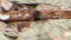 Photo by Photo by Monica Rodriguez / DigitalVision