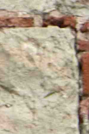 Photo by Photo by Monica Rodriguez / DigitalVision