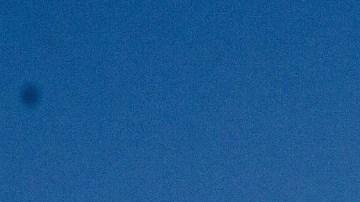 Photo courtesy of the artist