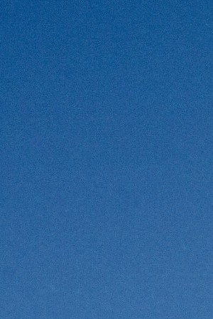 Photo courtesy of the artist