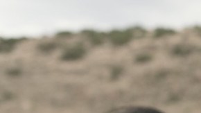 Photo courtesy of Amazon Prime