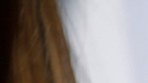 Rep. Alexandria Ocasio-Cortez (D-NY) attends a rally for Democratic presidential candidate, Sen. Bernie Sanders (I-VT) in Queensbridge Park on October 19, 2019 in the Queens borough of New York City. Photo by Kena Betancur/Getty Images