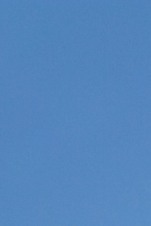 Cargo plane in flight. Photo by bholland / Getty Images