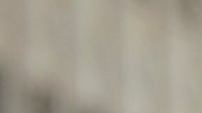 Demonstrators wave flags and hold signs in front of La Moneda presidential palace during a national strike on November 26 in Santiago, Chile. Photo by Claudio Santana/Getty Images