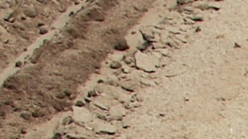 A Latino laborer works on planting tobacco May 4, 2009 in Vander, North Carolina.  Photo by Chris Hondros/Getty Images