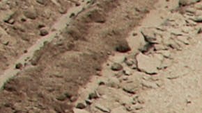 A Latino laborer works on planting tobacco May 4, 2009 in Vander, North Carolina.  Photo by Chris Hondros/Getty Images