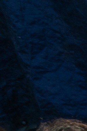 Immigrant children make Christmas decorations during class at "The Sidewalk School" at a camp for asylum seekers on December 08, 2019 in the Mexican border town of Matamoros, Mexico. Photo by John Moore/Getty Images