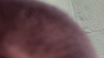 Keiko Fujimori, daughter of former President Alberto Fujimori, is escorted by body guards as she enters the congressional building January 10, 2001 in Lima, Peru. Photo by Newsmakers