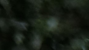 Hundreds of people gather in front of U.S. Senator Chuck Schumer's Brooklyn apartment to protest immigration detention facilities on July 02, 2019 in New York City. 
Photo by Spencer Platt/Getty Images