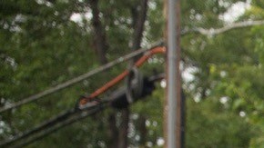 Image courtesy of LBP and PBS.