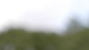 Steven Garza appears in 'Boys State' by Jesse Moss and Amanda McBaine. Photo by Thorsten Thielow. Courtesy of Sundance Institute.