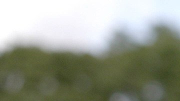 Steven Garza appears in 'Boys State' by Jesse Moss and Amanda McBaine. Photo by Thorsten Thielow. Courtesy of Sundance Institute.