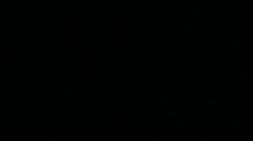 Photo courtesy of the artists