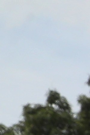 Members of the migrant caravan clash with Mexican riot police at the border between Mexico and Guatemala on October 19, 2018 in Ciudad Tecun Uman, Guatemala. Photo by John Moore/Getty Images