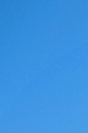 People from a caravan of Central American immigrants wait to ride on a truck, whose driver offered a ride, on their way toward the United States, on January 22, 2019 in Santo Domingo Zanatepec, Mexico. Photo by Mario Tama/Getty Images