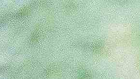 Sloth in Manuel Antonio National Park, Costa Rica. Getty Images