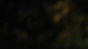 President of Mexico Andres Manuel Lopez Obrador (C) looks at the National Guard during the ceremony of deployment of the new Mexican security force 'National Guard' at Campo Marte on June 30, 2019 in Mexico City, Mexico. Photo by Manuel Velasquez/Getty Images