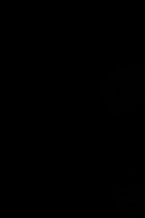 Ozuna interviews during  the 93rd Annual Macy's Thanksgiving Day Parade rehearsals at Macy's Herald Square. Photo by John Lamparski/Getty Images