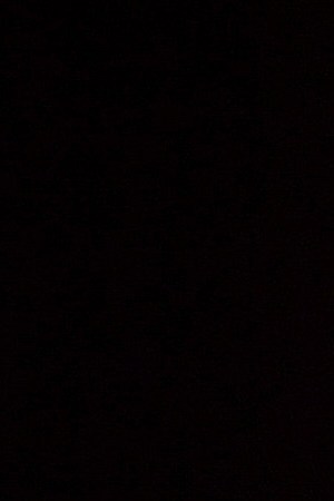 Rosario Dawson speaks during press tour on January 11, 2020 in Pasadena, California. Photo by Amy Sussman/Getty Images