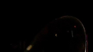 Rosalía accepts the Best Latin Rock, Urban or Alternative Album award for "El Mal Querer" onstage during the 62nd Annual GRAMMY Awards Premiere Ceremony at Microsoft Theater on January 26, 2020 in Los Angeles, California. Photo by Timothy Norris/Getty Images