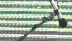 Los Tigres del Norte performs onstage at Univision and Fusion host RiseUp AS ONE at Cross Border Xpress. Photo by Leon Bennett/Getty Images for Univision