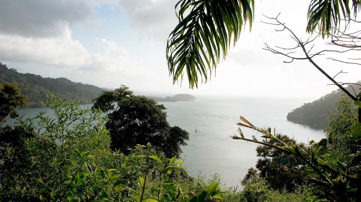 Photo by Javier Teniente/Getty Images