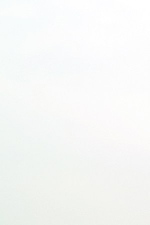 Tropical rainforest in Nicaragua during morning sunrise time. Getty Images