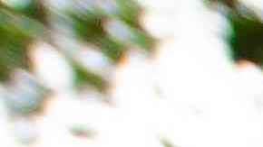 Photo by Dan Reynolds Photography/Moment