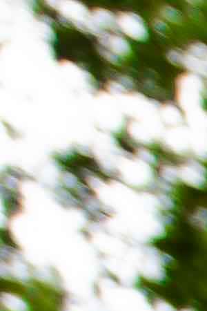 Photo by Dan Reynolds Photography/Moment