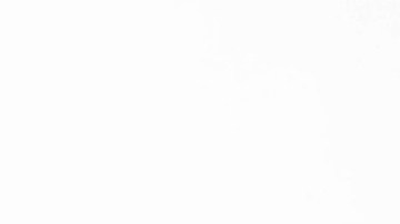 Walter Mercado Mucho Mucho Amor